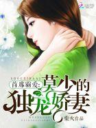 莫少宠妻