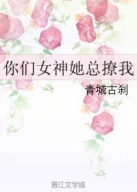 你们女神是我的全文免费阅读