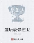 篮坛最强控卫笔趣阁
