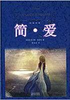 简·爱的主要内容50字