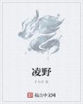 凌野自卸车