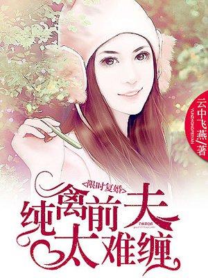 限时复婚前夫太难缠免费阅读全文