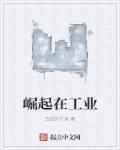 工业崛起如何挣钱