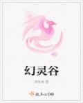 幻灵谷西北方向任务详细攻略和注意事项
