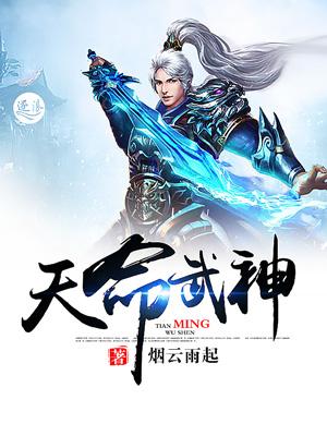 天命武神1到100集