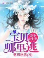 帝少心尖宠宝贝哪里逃 紫玥悠悠