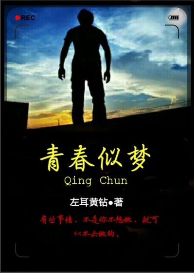 青春似梦电视剧