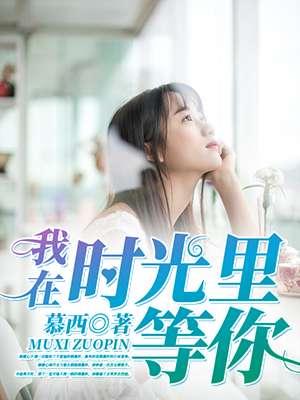 我在时光里等你守候你是什么音乐