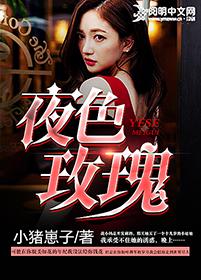夜玫瑰x属性