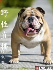 野性为王 txt