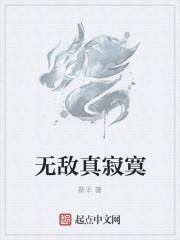 无敌真寂寞顶点