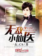 无敌小仙医叶凡
