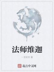 魔法师维迦装备
