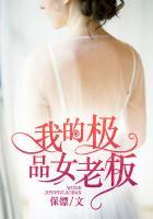 我的极品女老师多少字