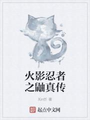 火影忍者鼬真传在线观看完整版