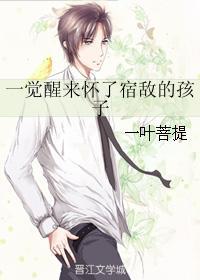 一觉醒来怀了宿敌的孩子排雷
