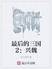 最后的三国2兴魏风之清扬