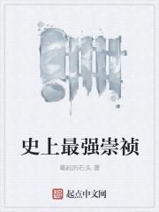 史上最强崇祯张嫣