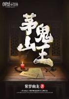 茅山鬼王紫梦幽龙TXT