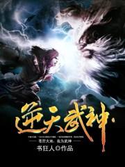 逆天武神txt电子书