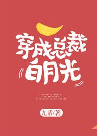 总裁每个月给十万的