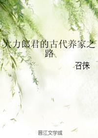 大力郎君的古代养家之路叫什么名字