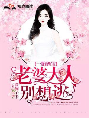 老婆大人别想逃 在线阅读