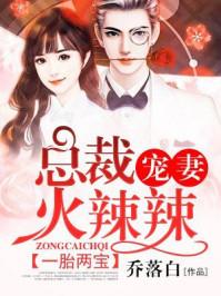 一胎两宝总裁宠妻火辣辣唐果果