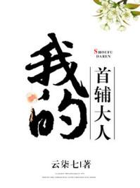 我的首辅大人电视剧