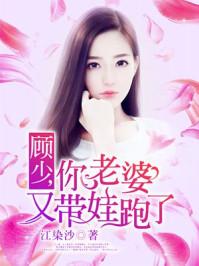你老婆又带娃跑了(江染沙)
