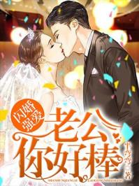 闪婚强爱老公你好棒免费阅读