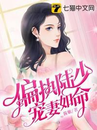 偏执陆少宠妻如命未删减版