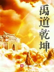 禹道乾坤等级划分