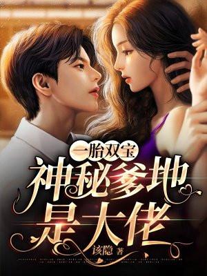 一胎双宝爹地忙最新