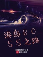 港岛BOSS之路好看吗