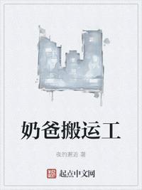 类似奶爸搬运工的