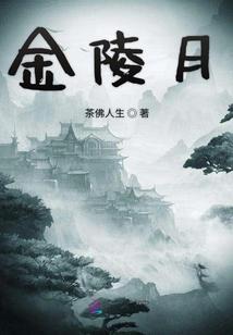 金陵月华卖完了吗