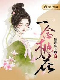 一念桃花因果渡什么意思