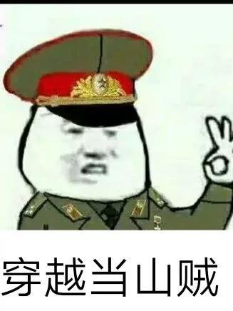 穿越当山贼的有哪些