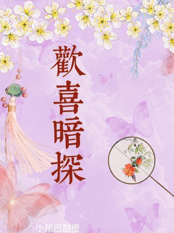 欢喜密探是电视剧吗