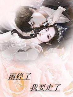 雨停了你走了歌词是什么意思