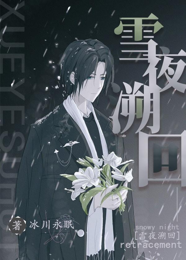 原神雪夜溯回免费阅读