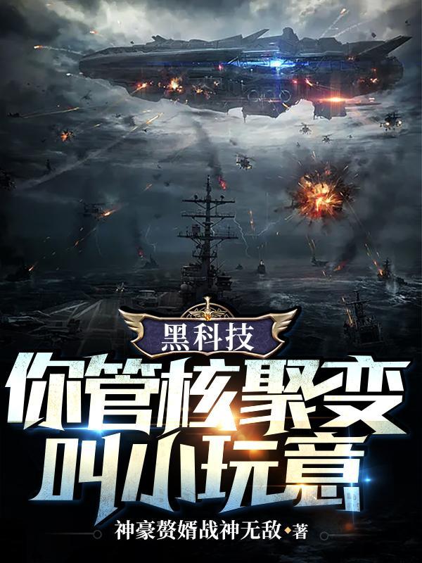 黑科技你管核聚变叫小玩意视频
