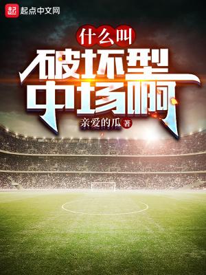 破坏原则是什么意思