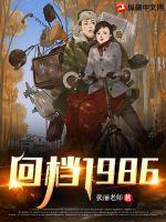 回档在2008年百科