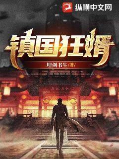 镇国狂婿电视剧名