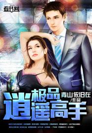 极品逍遥高手女主角有几个