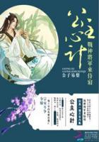 公主将军虐心推荐