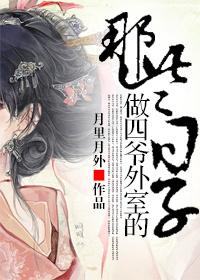 四爷外室清穿