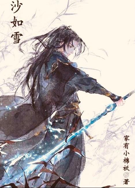 沙如雪对仗什么